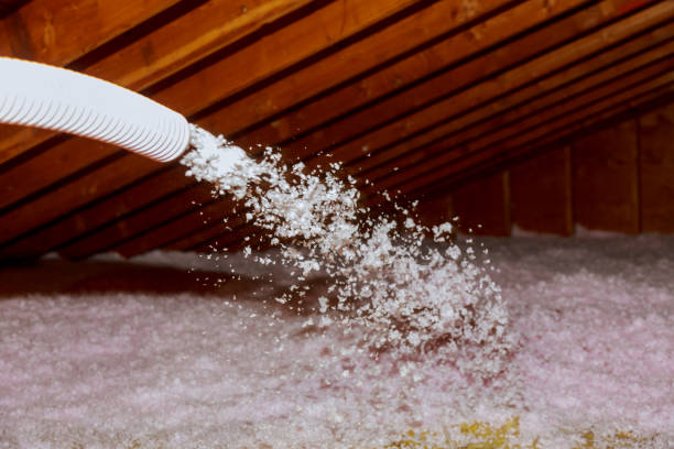 Best DIY Insulation Kits and Guidance in Plattsburgh West, NY